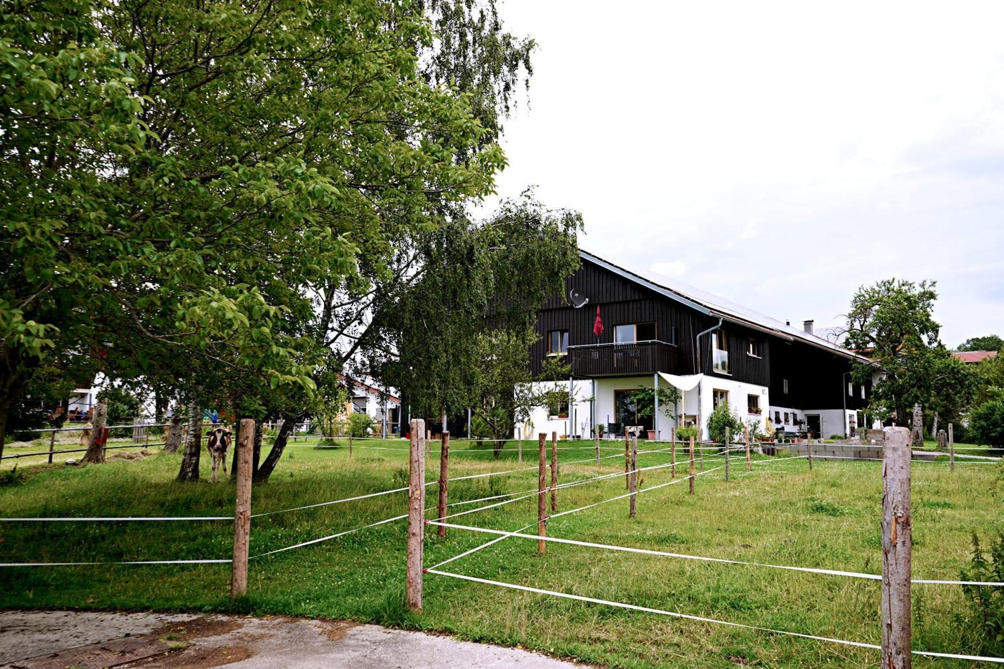 Beim Baltas Wildpoldsried